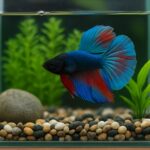 Aquário Para Peixe Betta Como Criar um Ambiente Bonito, Saudável e Duradouro