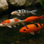 Tipos de Carpa e Por Que Esses Peixes Transformam Qualquer Lago